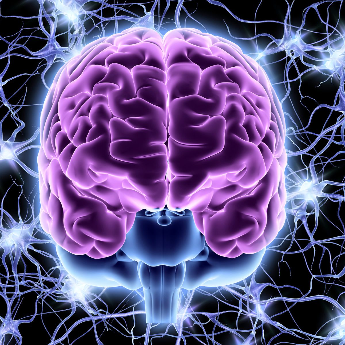 Polyvagaal theorie oefeningen