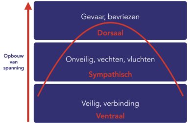 Polyvagaal Theorie: Inzicht in stress en verbinding