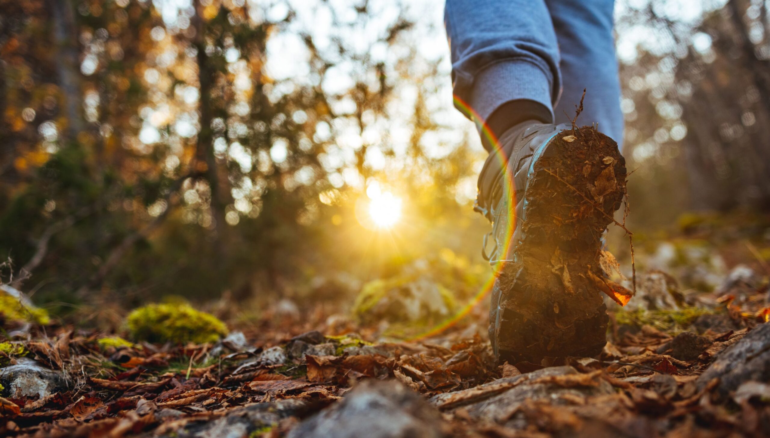 polyvagaal theorie kritiek